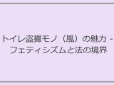トイレ盗撮モノ（風）の魅力 – フェティシズムと法の境界