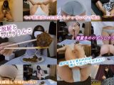 【VR】接近放屁とずっしりうんこ 星野結花
